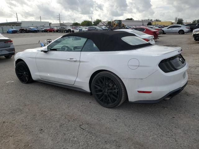 2019 Ford Mustang