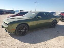 Hail Damaged Cars for sale at auction: 2023 Dodge Challenger SXT