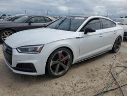 Audi salvage cars for sale: 2019 Audi S5 Premium Plus