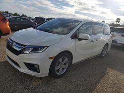 Salvage cars for sale at Riverview, FL auction: 2019 Honda Odyssey EXL