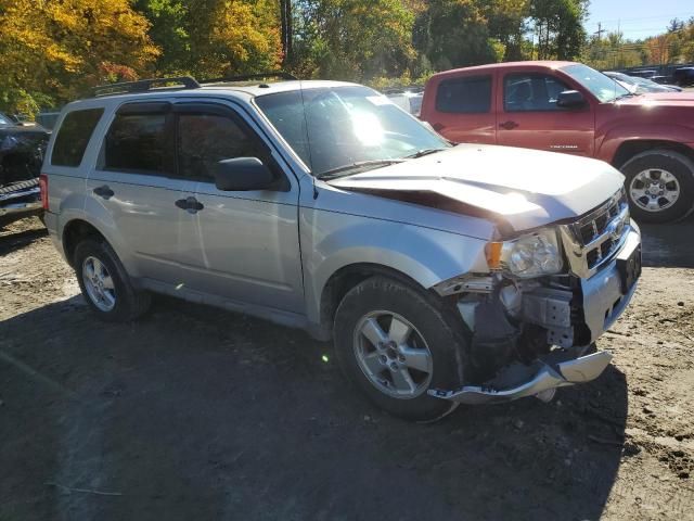 2009 Ford Escape XLT