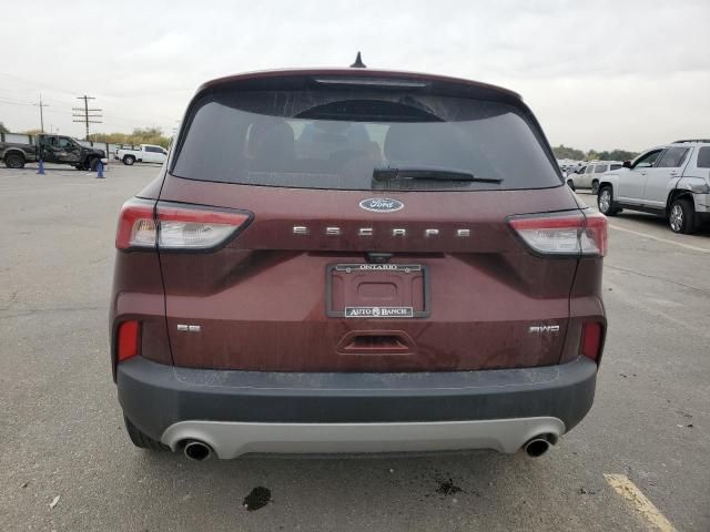 2021 Ford Escape SE