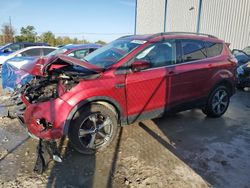 Ford Escape salvage cars for sale: 2017 Ford Escape SE