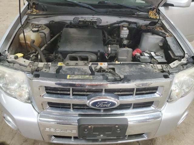 2010 Ford Escape Limited