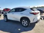 2024 Lexus NX 350 Luxury