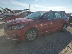 Flood-damaged cars for sale at auction: 2019 Hyundai Sonata SE