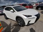 2020 Lexus NX 300