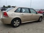 2006 Chevrolet Malibu Maxx LT