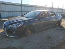 Vandalism Cars for sale at auction: 2019 Hyundai Sonata SE