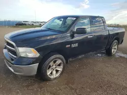 Salvage trucks for sale at Rocky View County, AB auction: 2013 Dodge RAM 1500 SLT