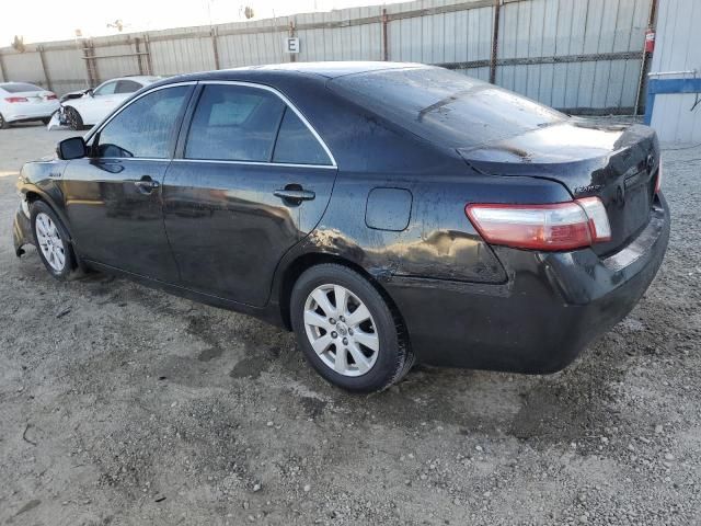 2008 Toyota Camry Hybrid