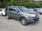 2009 Honda Pilot EXL