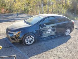 Toyota Vehiculos salvage en venta: 2024 Toyota Corolla LE