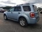 2008 Ford Escape HEV