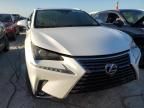 2020 Lexus NX 300H