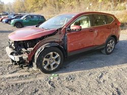 Salvage cars for sale at Marlboro, NY auction: 2019 Honda CR-V EXL