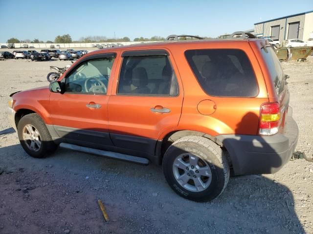 2006 Ford Escape XLT