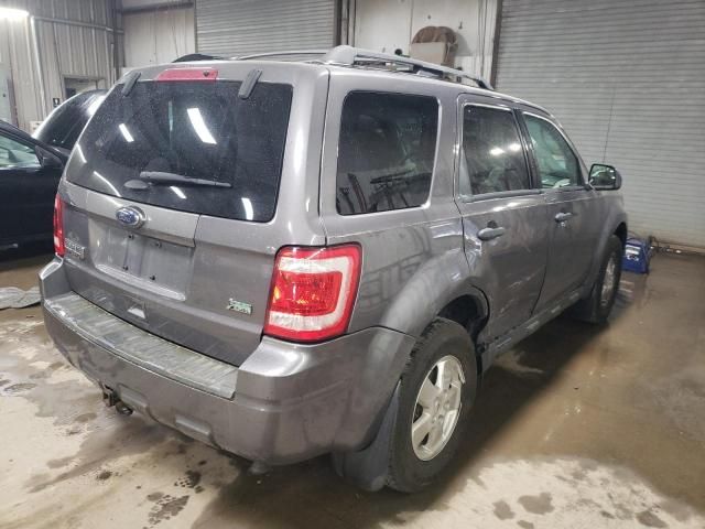 2011 Ford Escape XLT