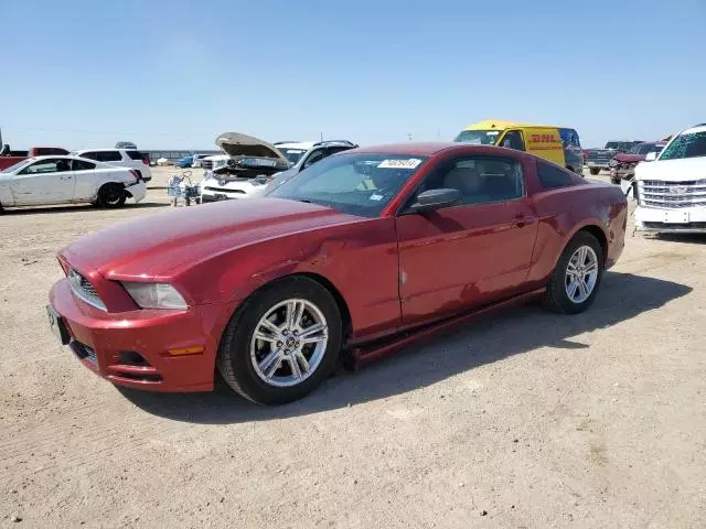 2014 Ford Mustang