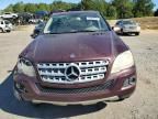 2009 Mercedes-Benz ML 350