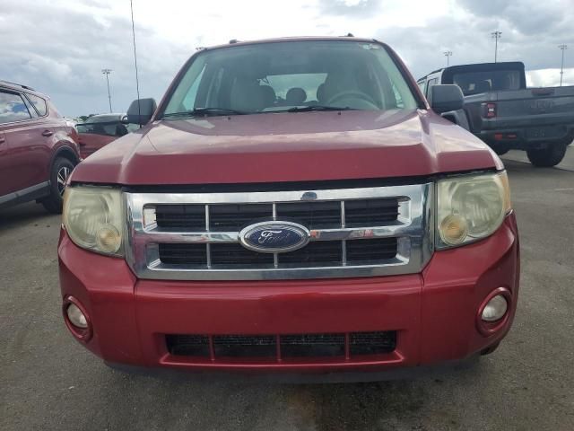 2008 Ford Escape XLT