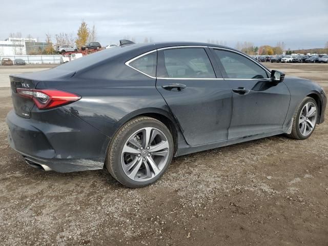 2023 Acura TLX Platinum Elite