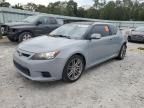 2011 Scion TC