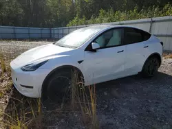 Salvage cars for sale at Spartanburg, SC auction: 2024 Tesla Model Y