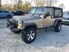 2004 Jeep Wrangler / TJ Sport