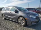 2021 Honda Odyssey EXL