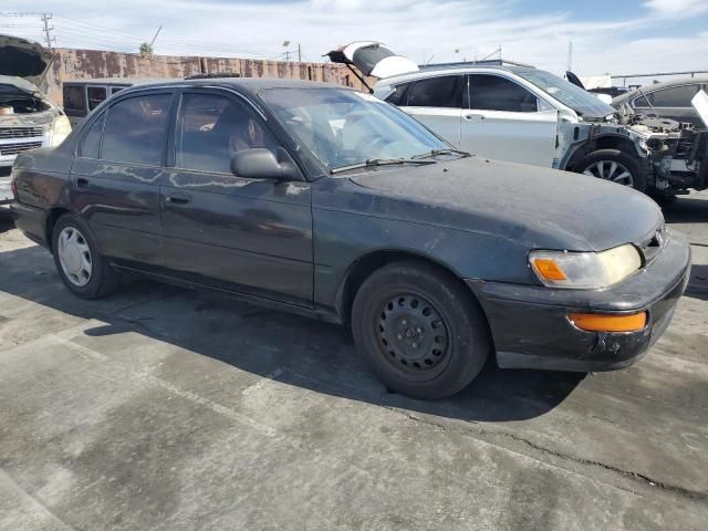 1997 Toyota Corolla DX