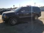 2007 Cadillac Escalade Luxury