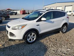 Salvage cars for sale at Cahokia Heights, IL auction: 2013 Ford Escape SE