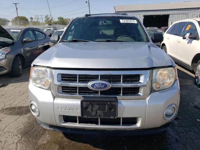 2010 Ford Escape XLT