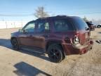 2007 Chevrolet Trailblazer LS