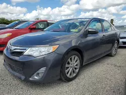 Salvage cars for sale at Riverview, FL auction: 2014 Toyota Camry L