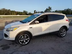 Salvage cars for sale at Apopka, FL auction: 2013 Ford Escape Titanium