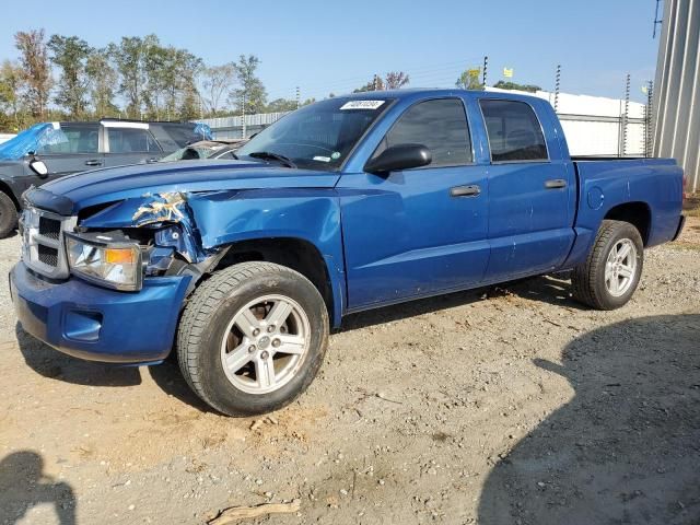 2008 Dodge Dakota SXT