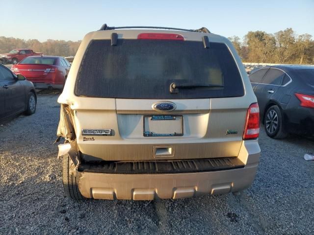 2011 Ford Escape XLT