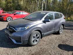 Salvage cars for sale at Cookstown, ON auction: 2020 Honda CR-V LX