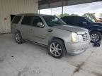 2009 Cadillac Escalade Hybrid