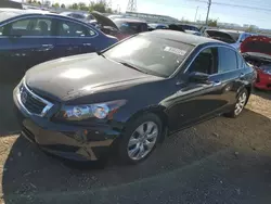 Honda Vehiculos salvage en venta: 2010 Honda Accord EXL