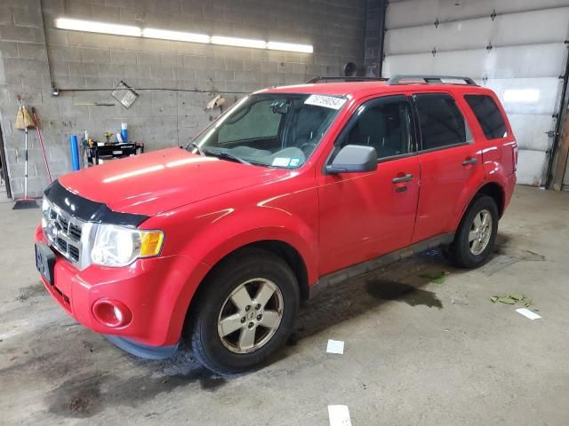 2009 Ford Escape XLT