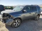 2013 Honda Pilot EXL