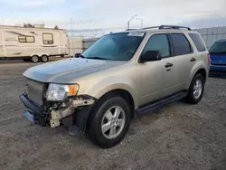 Ford salvage cars for sale: 2012 Ford Escape XLT