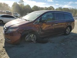 Honda salvage cars for sale: 2016 Honda Odyssey EXL