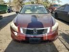 2008 Honda Accord LXP