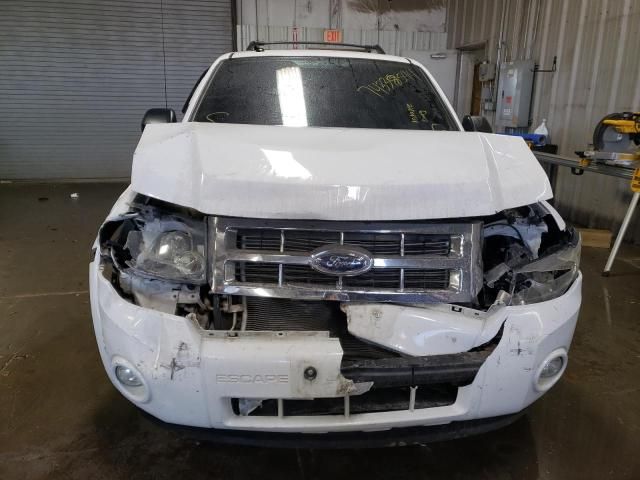 2008 Ford Escape XLT