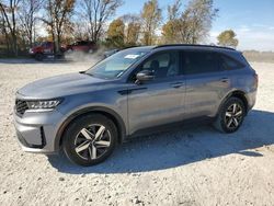 Salvage cars for sale from Copart Cicero, IN: 2021 KIA Sorento S