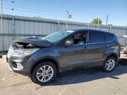 Salvage cars for sale at Littleton, CO auction: 2019 Ford Escape SE